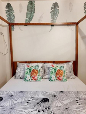 StayPlus Metro Manila Solano Hills Tropical Home Suite
